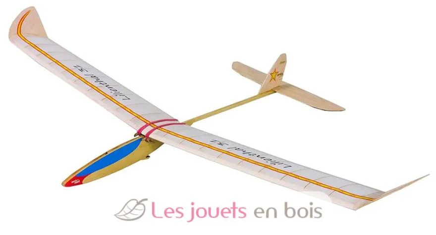 Planeur Lilienthal 31 - Aero-naut