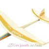 Planeur Sniffi - Aero-naut