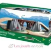 Pont catastrophe - Brio