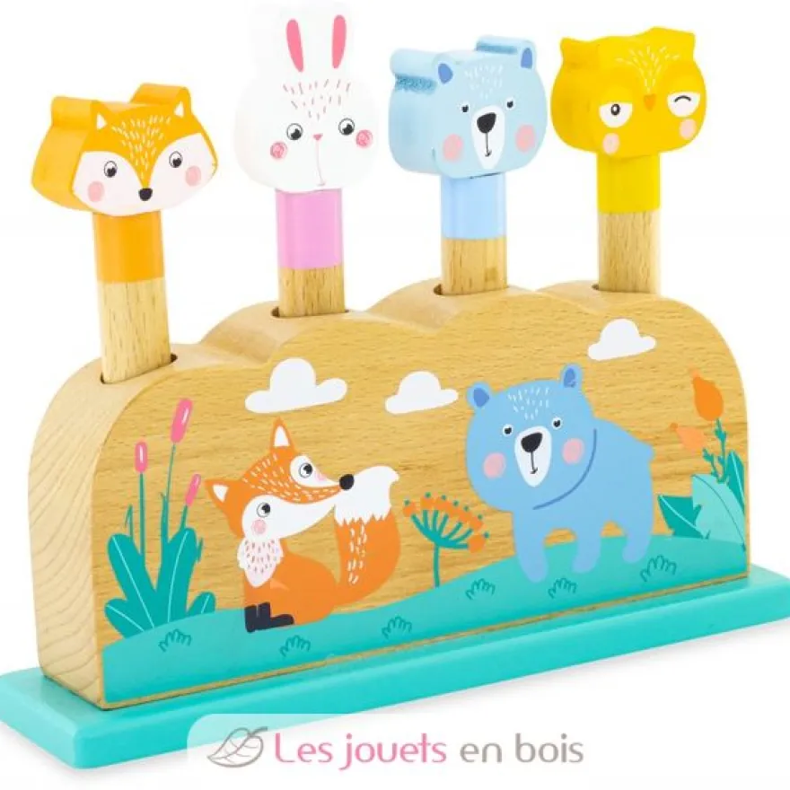 Pop-up Animaux - Ulysse