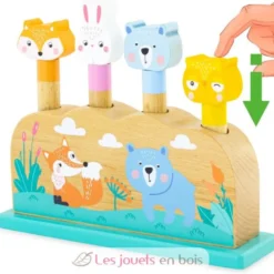 Pop-up Animaux - Ulysse