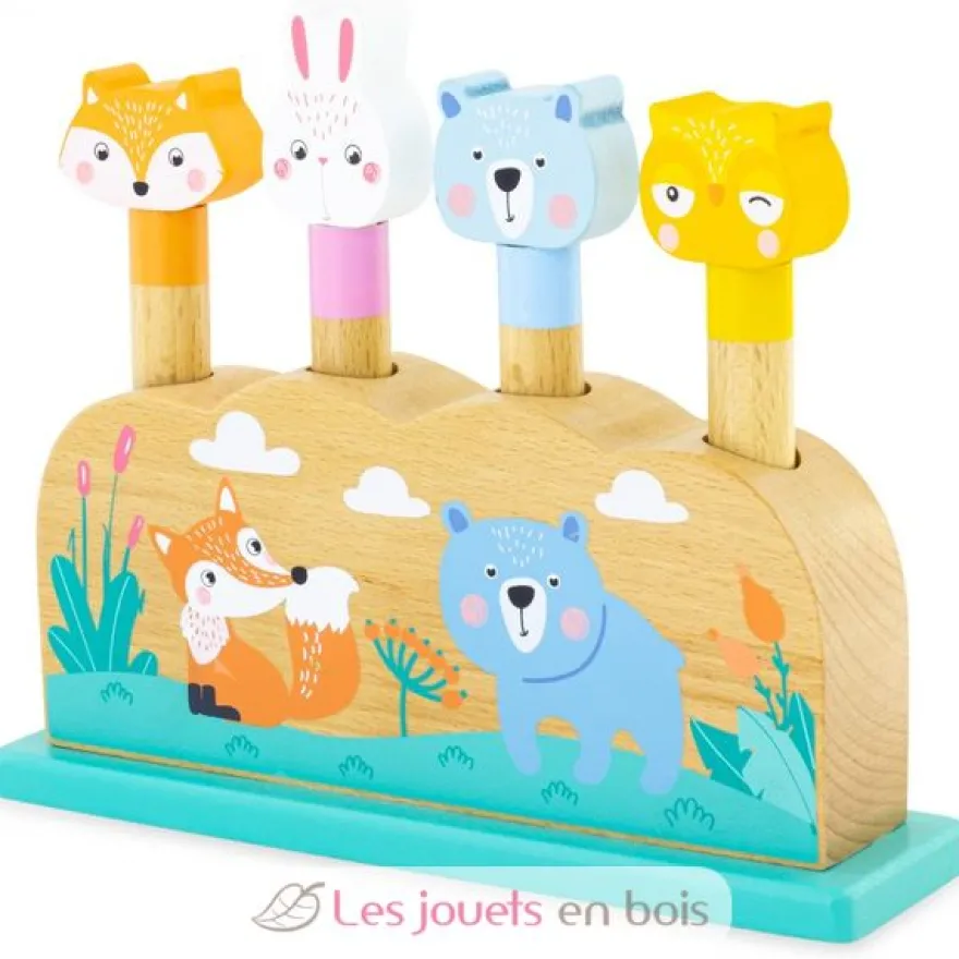Pop-up Animaux - Ulysse