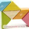 Prism Pocket Pouch Tints 6 pcs - Tegu