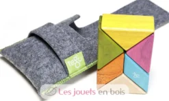Prism Pocket Pouch Tints 6 pcs - Tegu
