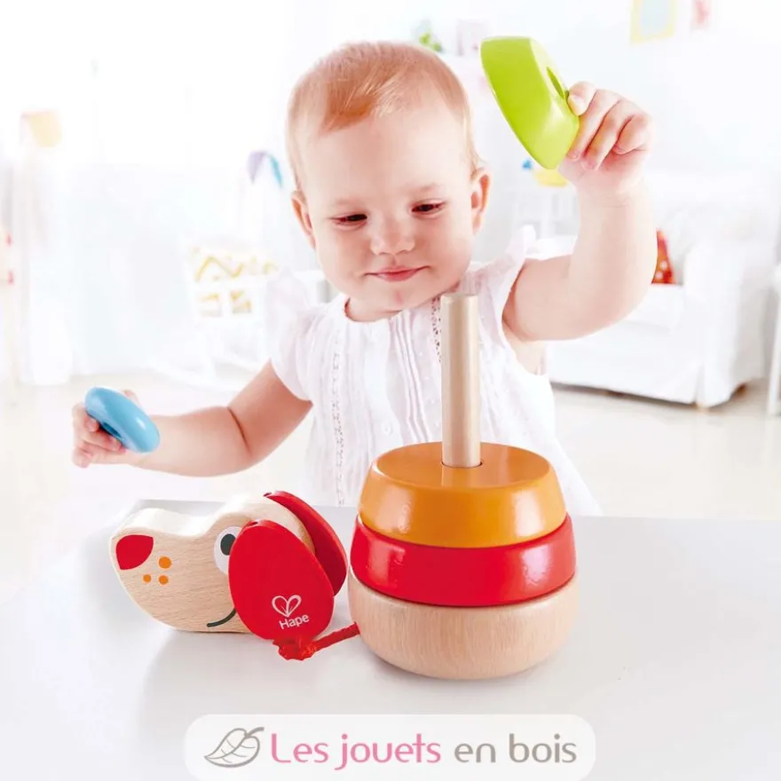 Puppy arc-en-ciel - Hape Toys