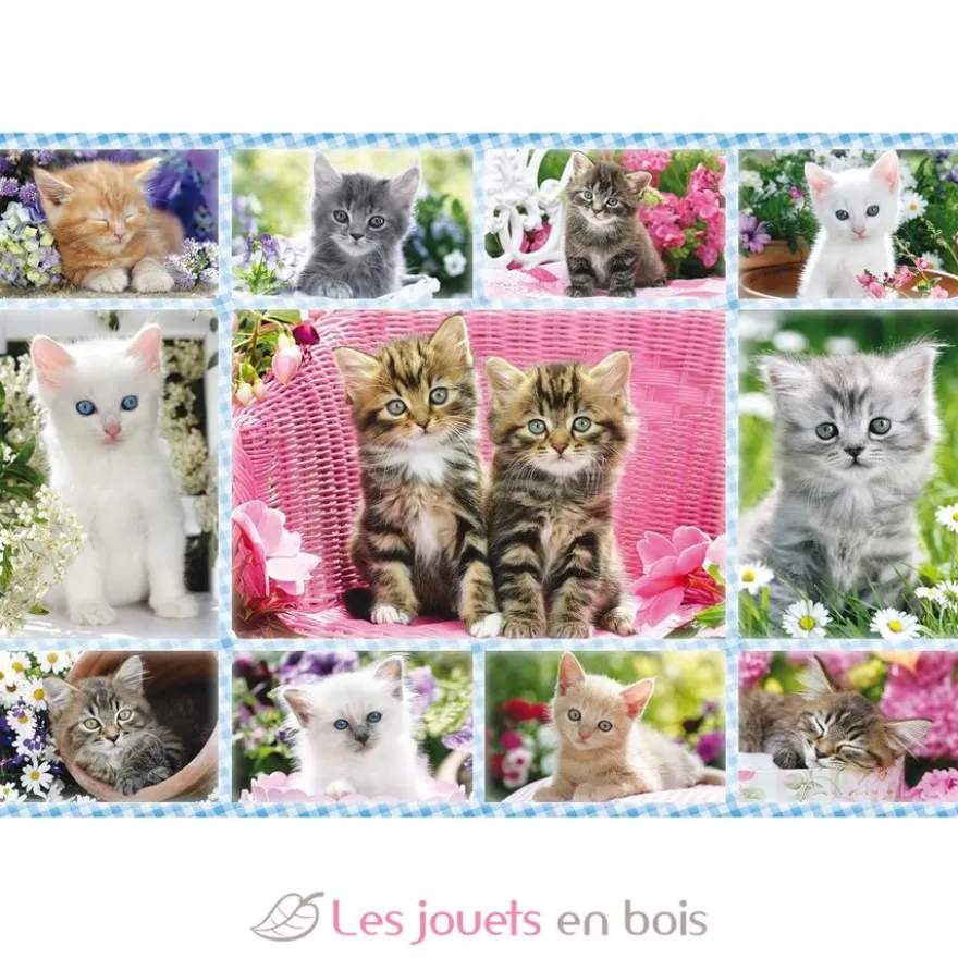 Puzzle Chatons 100 pcs - Schmidt Spiele