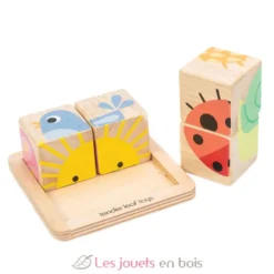 Puzzle 4 cubes - Tender Leaf Toys