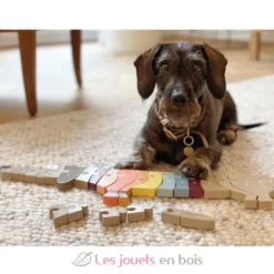 Puzzle de lettres Chien - Small Foot company