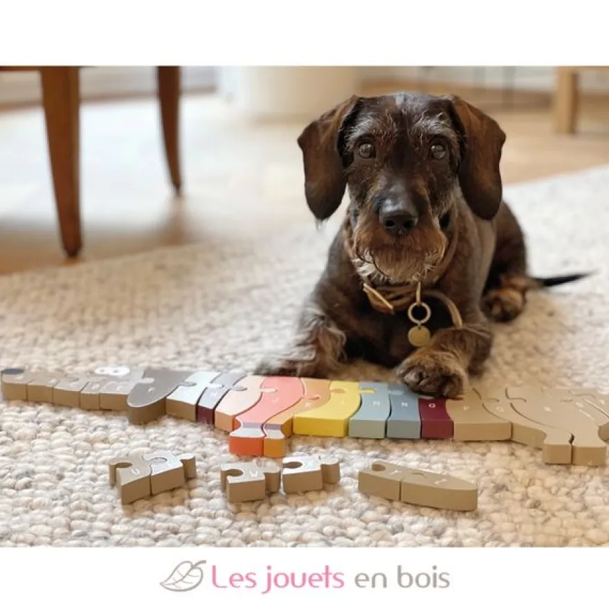 Puzzle de lettres Chien - Small Foot company
