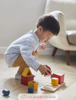 Puzzle d'encastrement 3 formes - Plan Toys