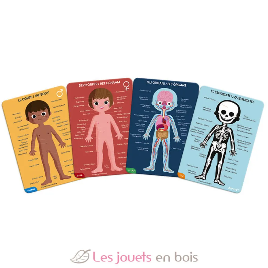 Puzzle éducatif Le Corps Humain - Janod