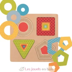 Puzzle à formes - Goki