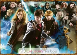 Puzzle Harry Potter et les sorciers 1000 pcs - Ravensburger