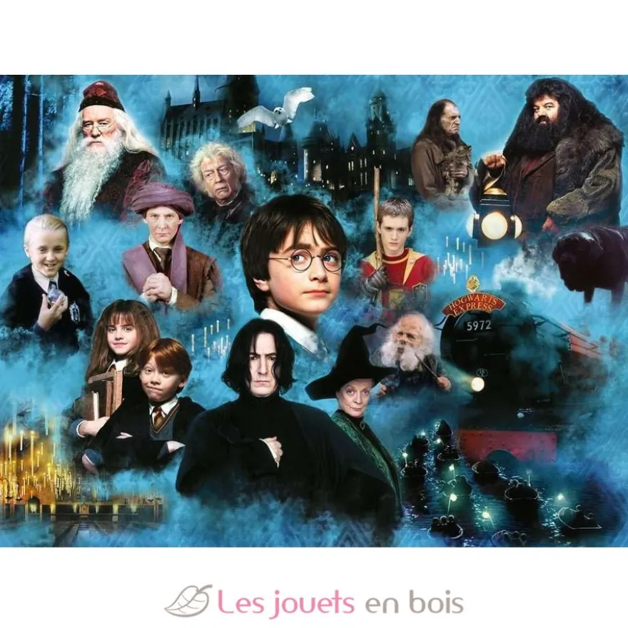 Puzzle Monde magique d'Harry Potter 1000 Pcs - Ravensburger