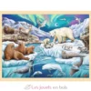 Puzzle Nuit polaire - Goki
