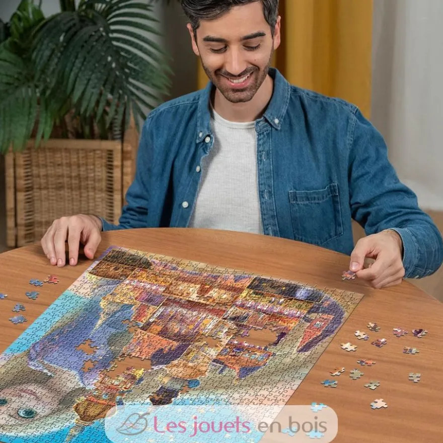 Puzzle Raiponce Châteaux Disney 1000 pièces - Ravensburger