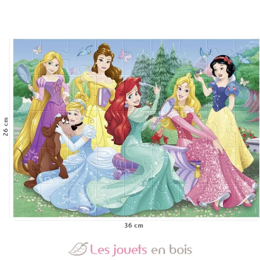 Puzzle Rencontre avec les princesses Disney 45 pcs - Nathan