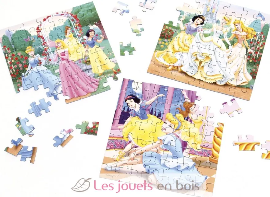 Puzzle Rêves de princesses Disney 3x49 pcs - Ravensburger