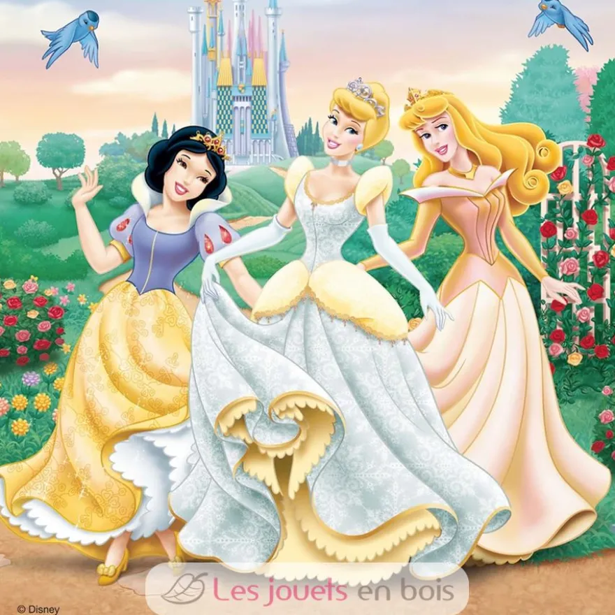 Puzzle Rêves de princesses Disney 3x49 pcs - Ravensburger