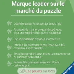 Puzzle Scar 1000 pièces - Ravensburger