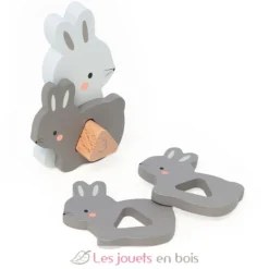 Puzzles d'éveil en bois - Maman bébé animaux à compter - Vilac