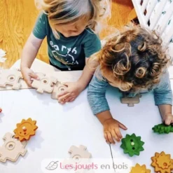 Puzzles engrenages - Plan Toys