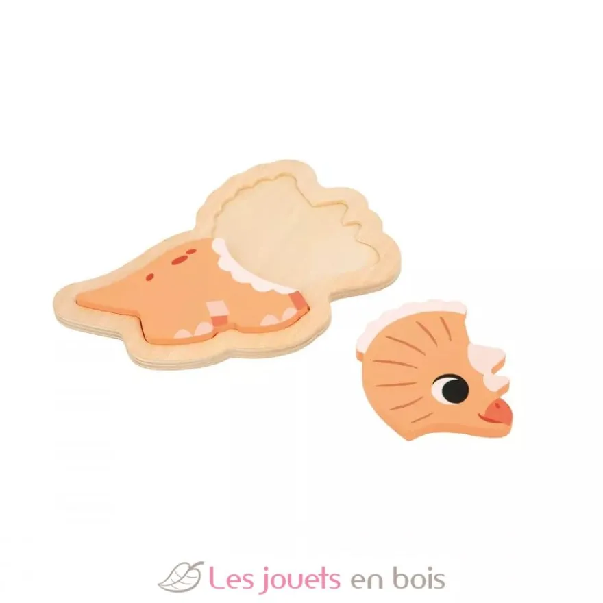 4 puzzles évolutifs en bois Dino - Janod