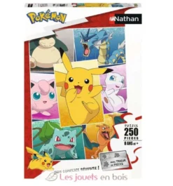 Puzzle Types de Pokémon 250 pcs - Nathan