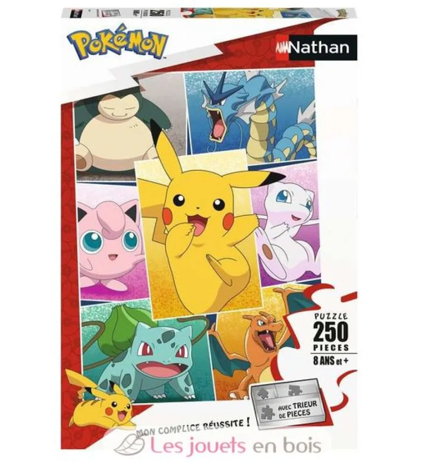Puzzle Types de Pokémon 250 pcs - Nathan