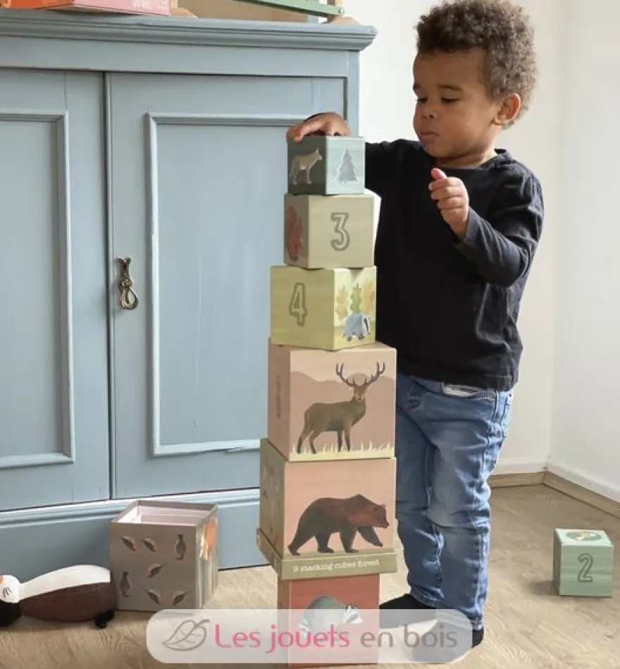 Pyramide Forêt - Egmont Toys