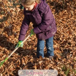 Râteau à feuilles pour enfant vert - Esschert Design