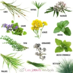 12 sachets de graines Plantes pour chat - Radis et Capucine