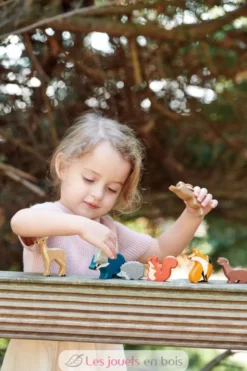 Set animaux en bois Forêt - Tender Leaf Toys