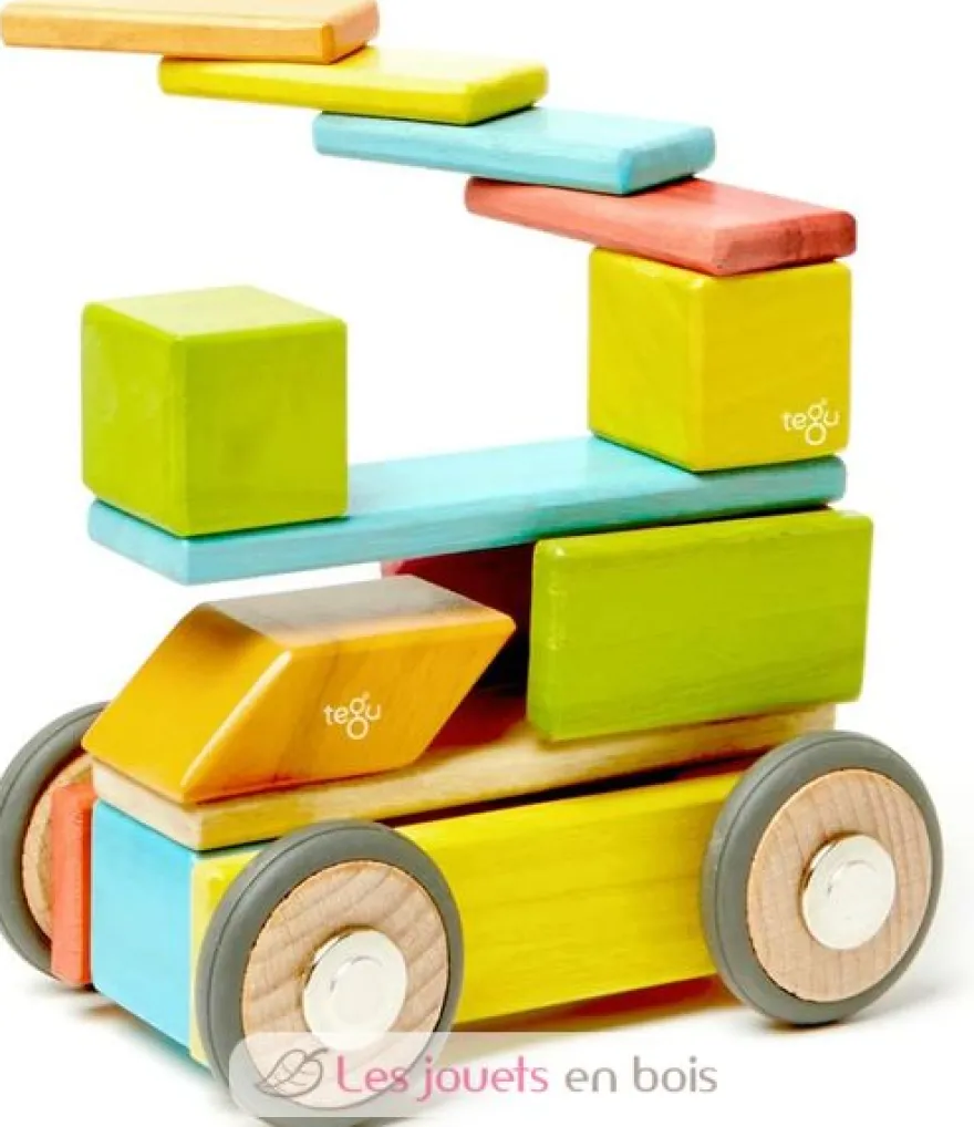 Set de 42 pièces Tints - Tegu