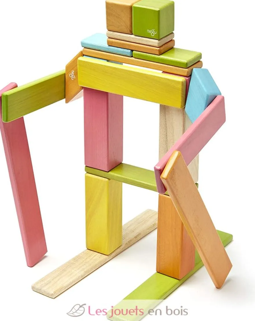 Set de 24 pièces Tints - Tegu