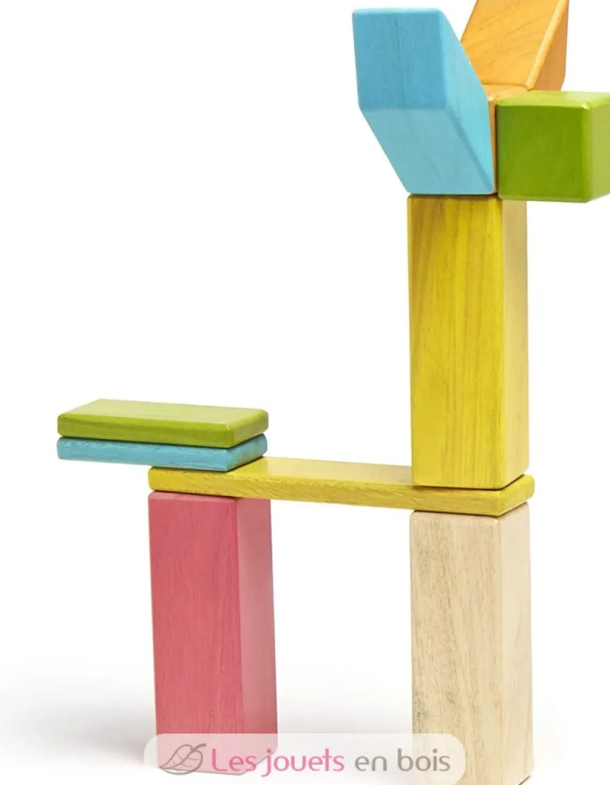Set de 24 pièces Tints - Tegu