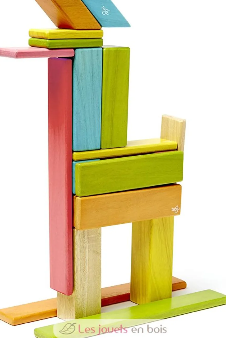 Set de 24 pièces Tints - Tegu