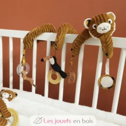 Spirale d'activités Speculos le tigre - Les Déglingos