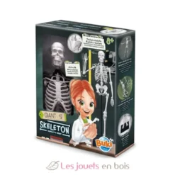 Squelette 45 cm - Buki France