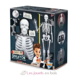 Squelette géant 85 cm - Buki France