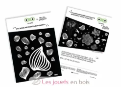 Stickers Méduses - Rainette