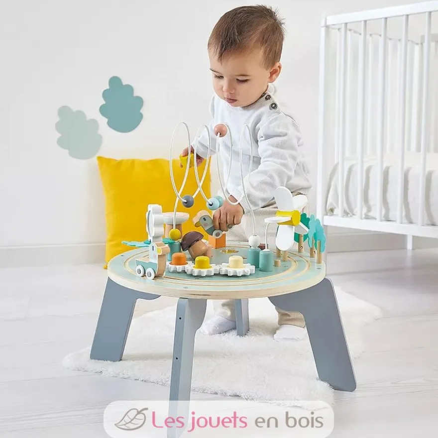 Table d'Activités Jardin Sweet Cocoon - Janod