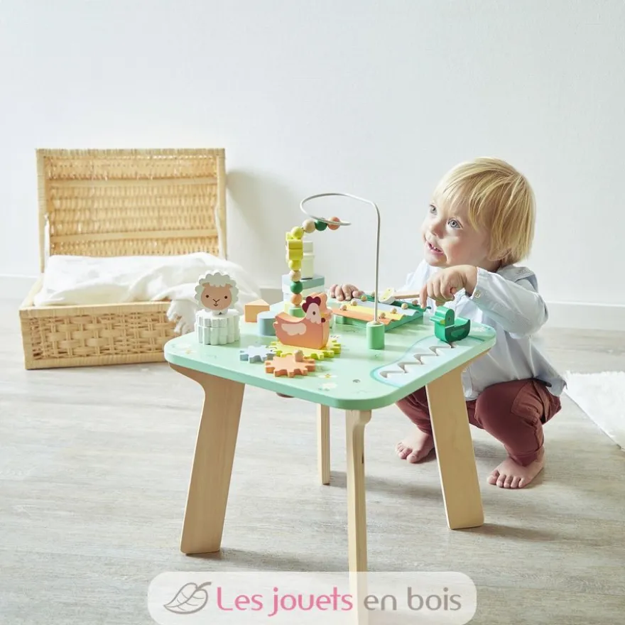 Table d'activités Jolie Prairie - Janod