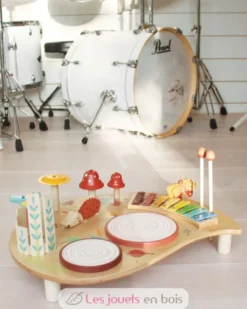 Table musicale - Tender Leaf Toys