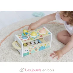 Tap Tap Xylophone - Janod