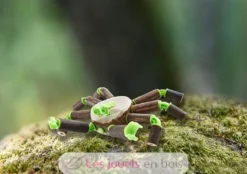Terra Kids Connectors - Kit de base - Haba