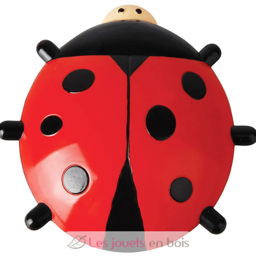 Thermomètre de fenêtre coccinelle - Esschert Design