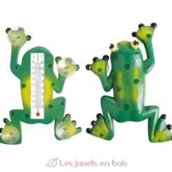Thermomètre de fenêtre grenouille - Esschert Design
