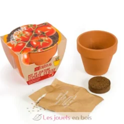 Tomate cerise bio en pot de culture - Radis et Capucine