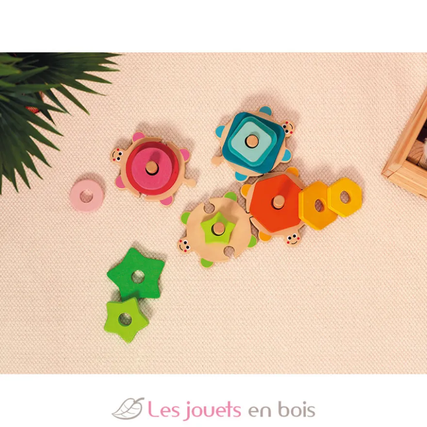 Tortues l Wood - Janod